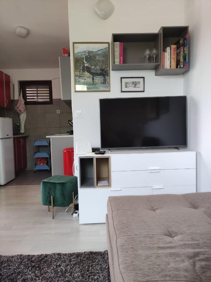 Apartments Dara โรกอซนิซา ภายนอก รูปภาพ